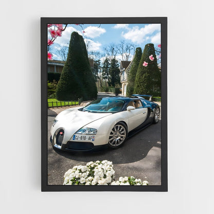 ap-veyron grand sport-3 cadre Noir