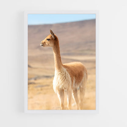 ap-vicuna-4 cadre Blanc