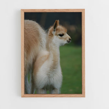 ap-vicuna-5 cadre Bois clair
