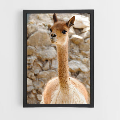 ap-vicuna-7 cadre Noir