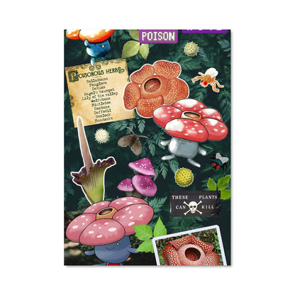 Poster Champignon Mystique