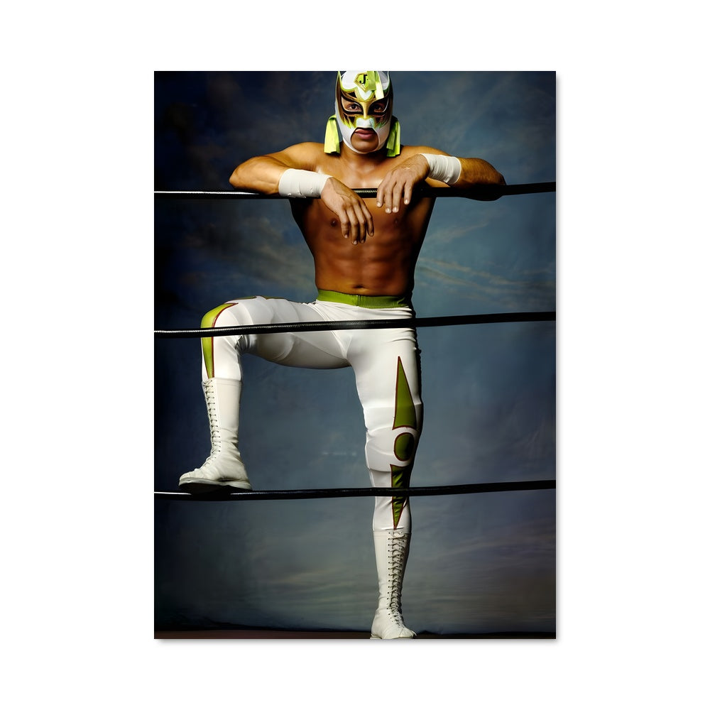 Poster L'Artiste du Ring