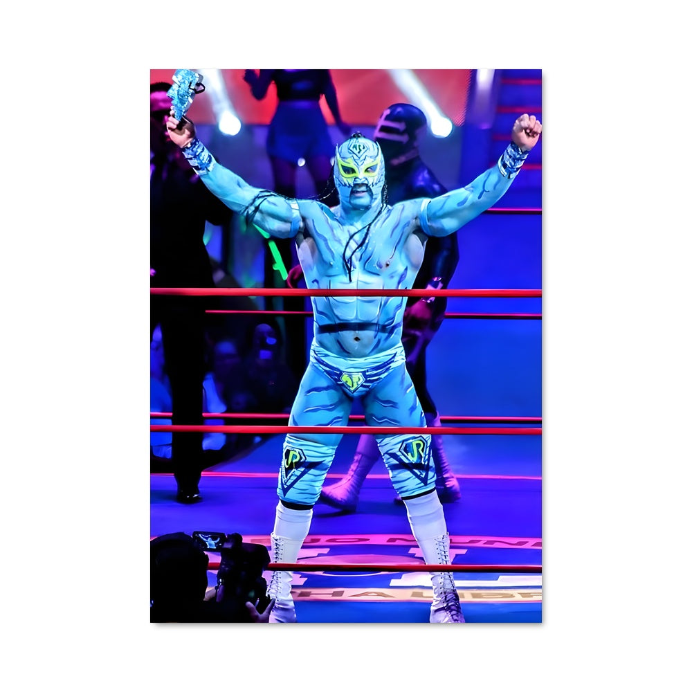 Poster Volador jr 61696