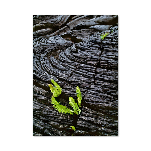 Poster Éveil des Îles Volcaniques