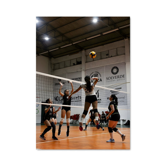 Poster Volleyball 74892
