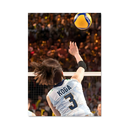 Poster Volleyball nations league 75053