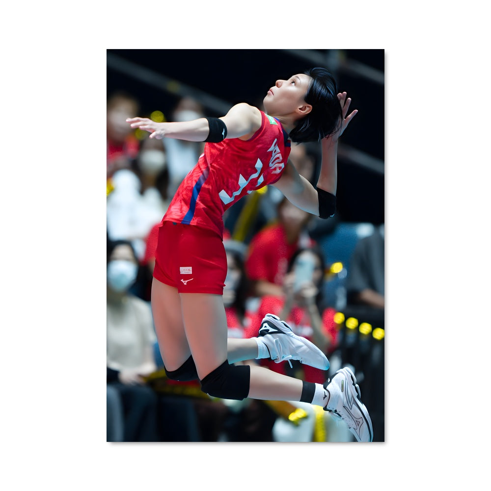 Poster Volleyball nations league 75058