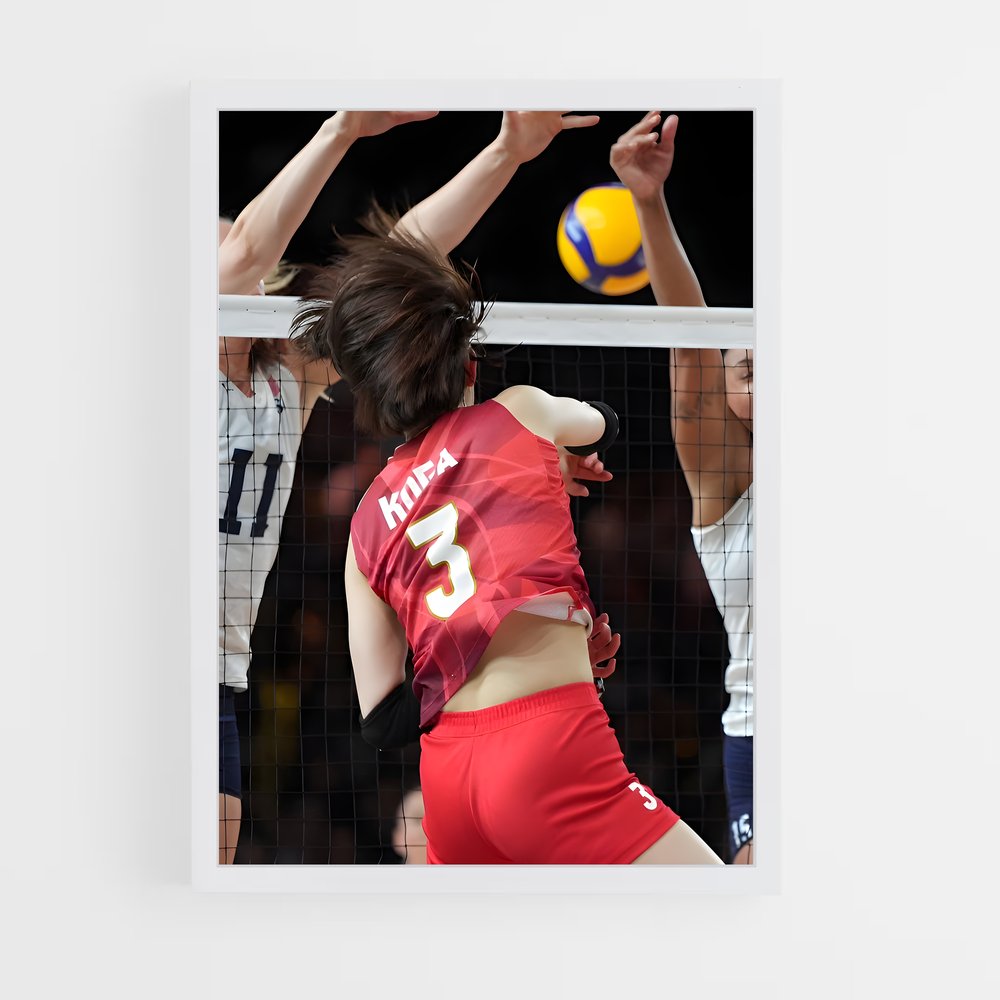 ap-volleyball nations league-2 cadre Blanc