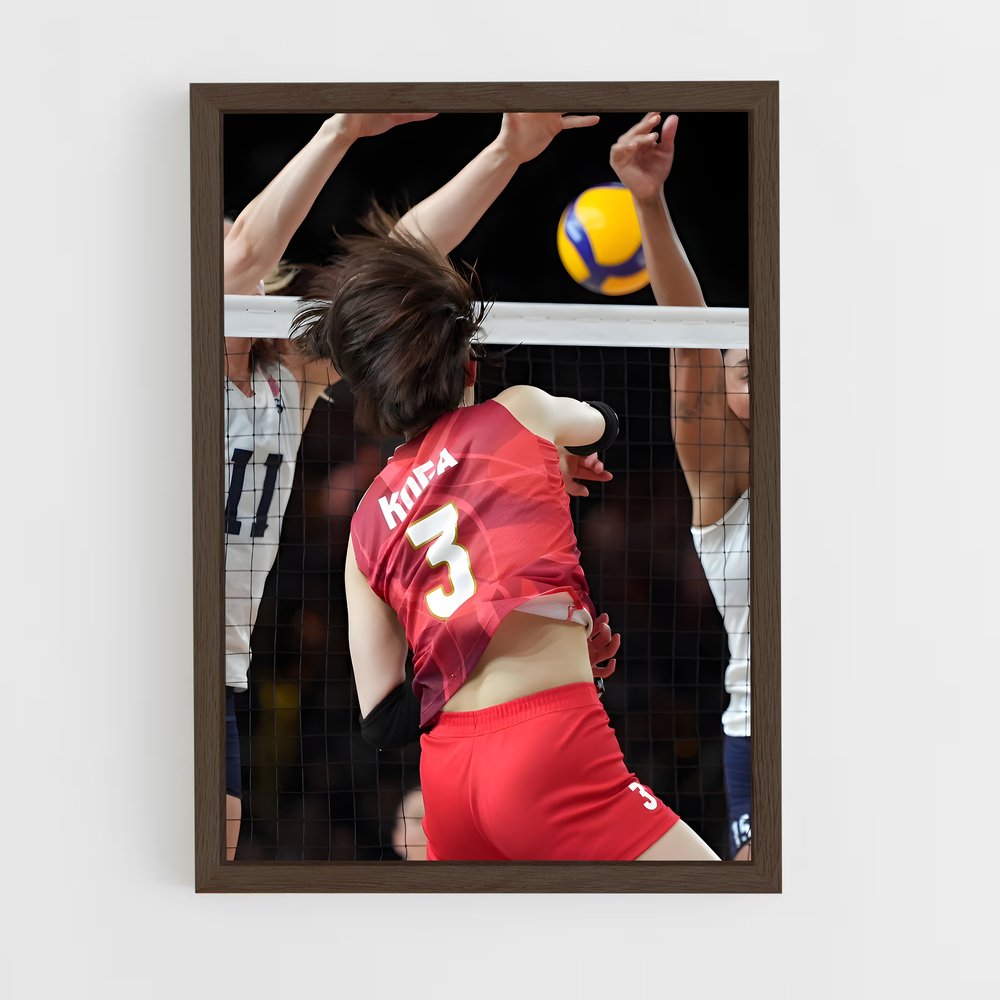 ap-volleyball nations league-2 cadre Bois foncé