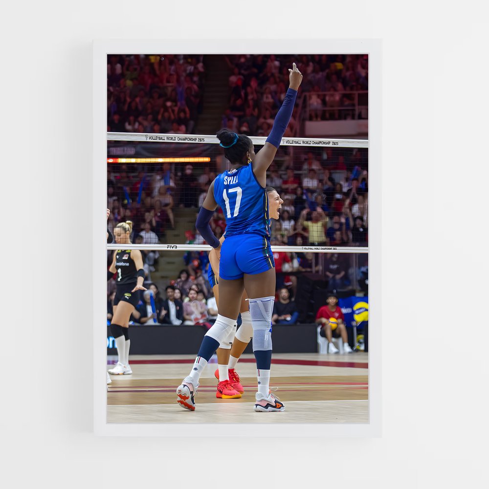 ap-volleyball world championships-5 cadre Blanc