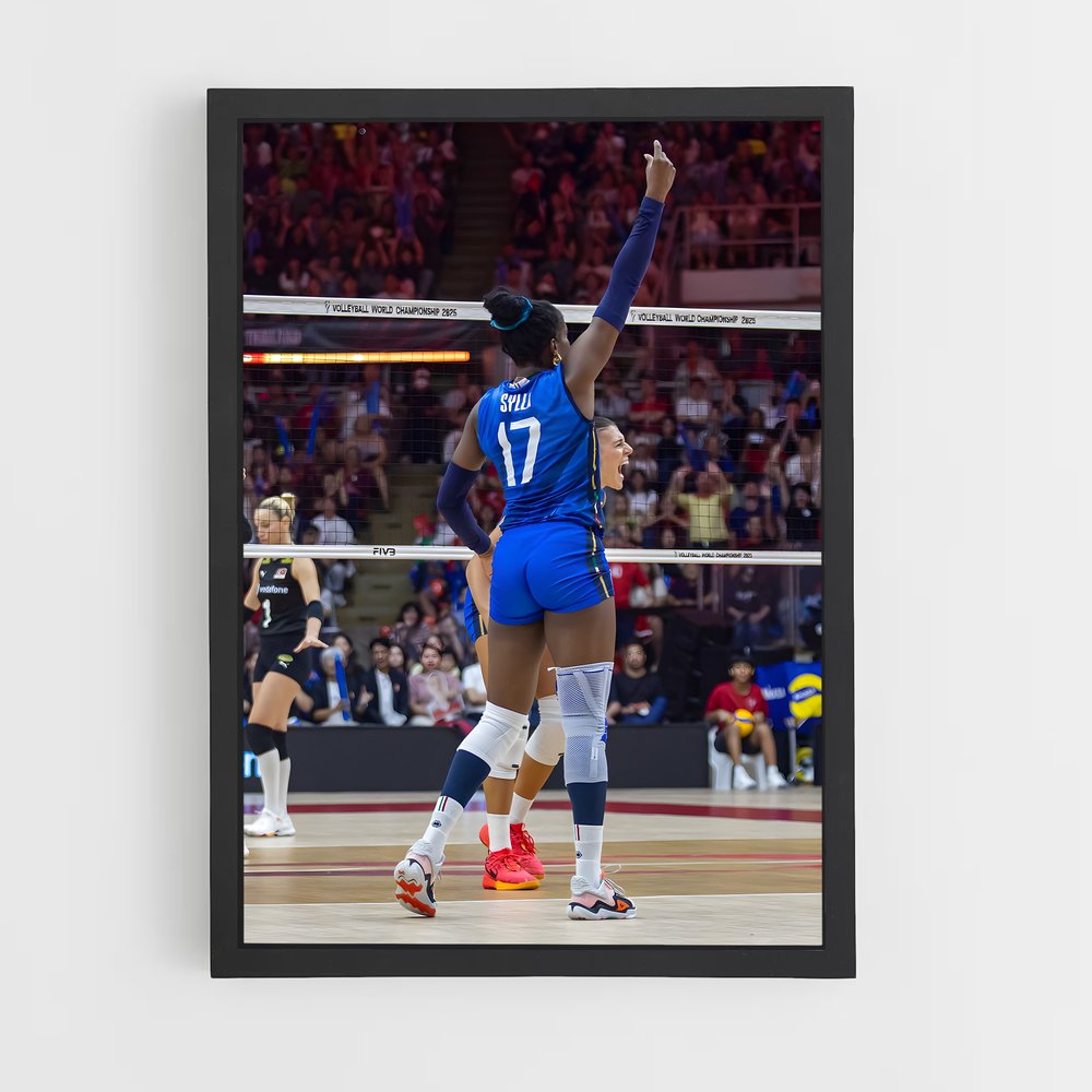 ap-volleyball world championships-5 cadre Noir
