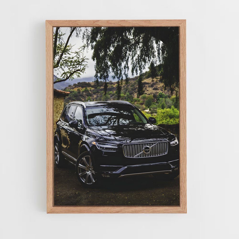 ap-volvo-1 cadre Bois clair