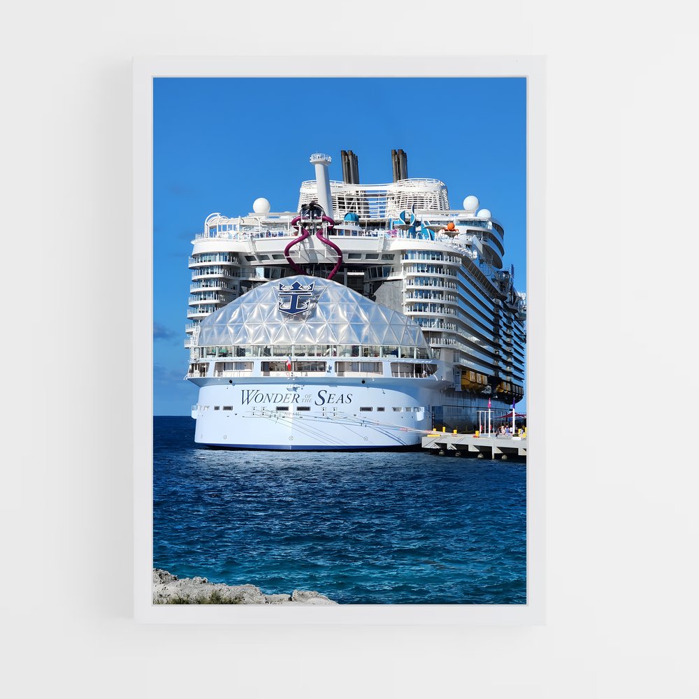 ap-voyager of the seas-5 cadre Blanc