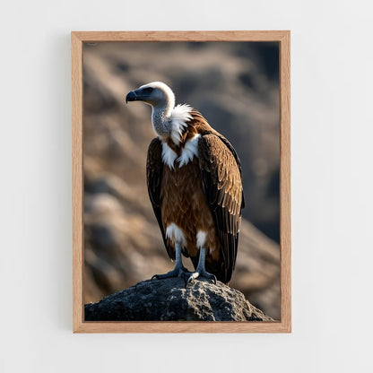 ap-vulture-2 cadre Bois clair