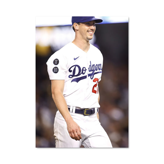 Poster Walker's Smile