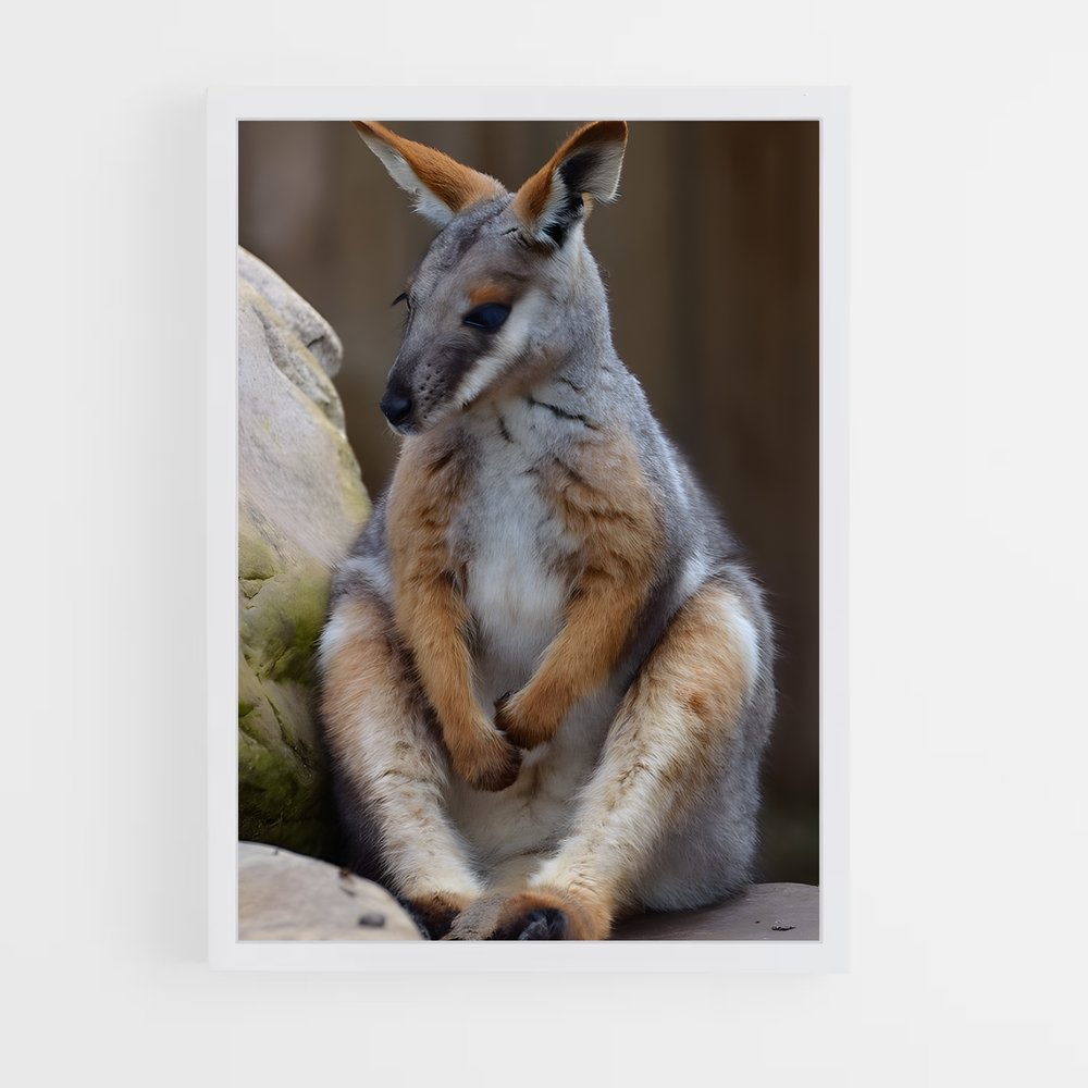 ap-wallaby-1 cadre Blanc