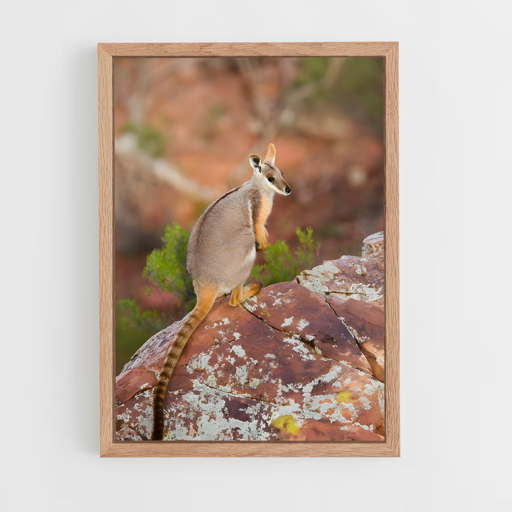ap-wallaby-2 cadre Bois clair