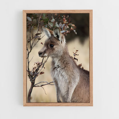 ap-wallaby-4 cadre Bois clair