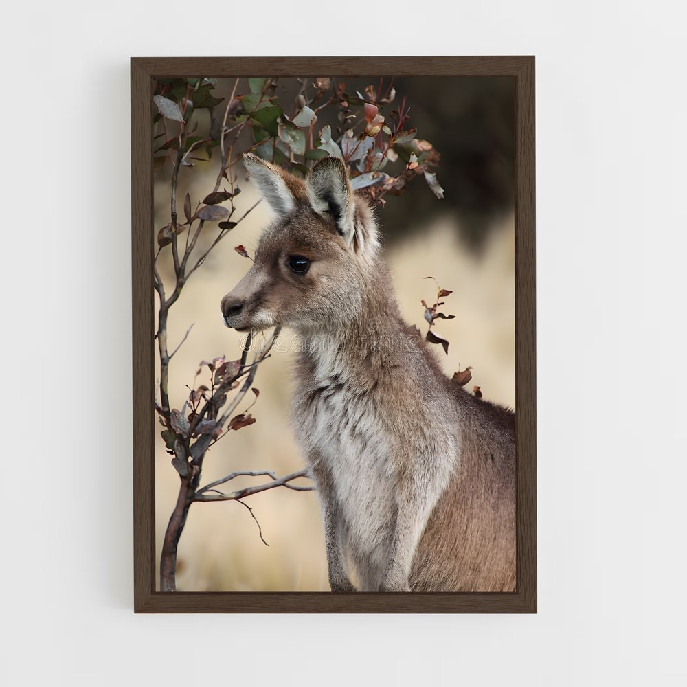 ap-wallaby-4 cadre Bois foncé