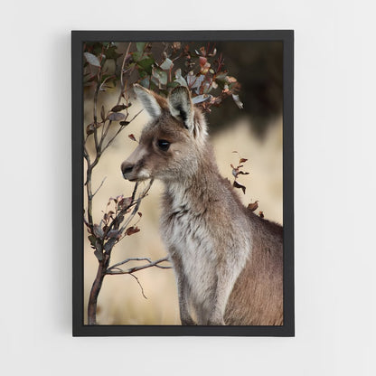 ap-wallaby-4 cadre Noir