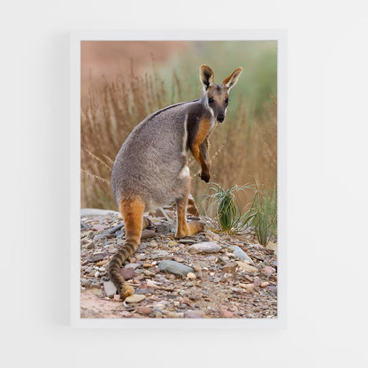 ap-wallaby-5 cadre Blanc
