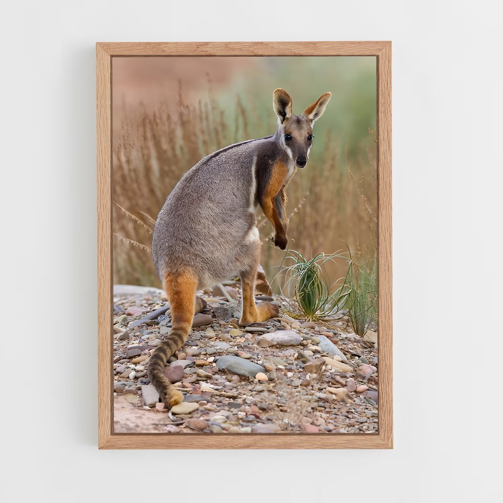 ap-wallaby-5 cadre Bois clair