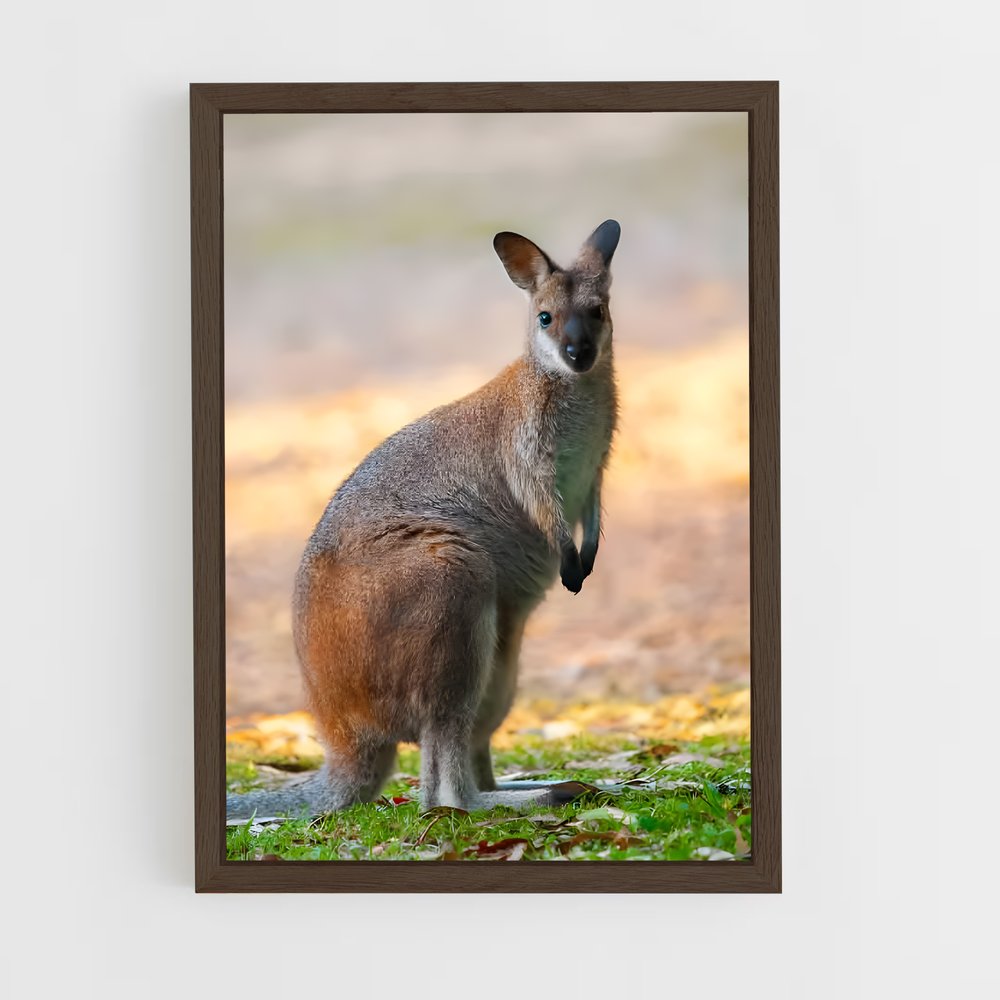 ap-wallaby-6 cadre Bois foncé
