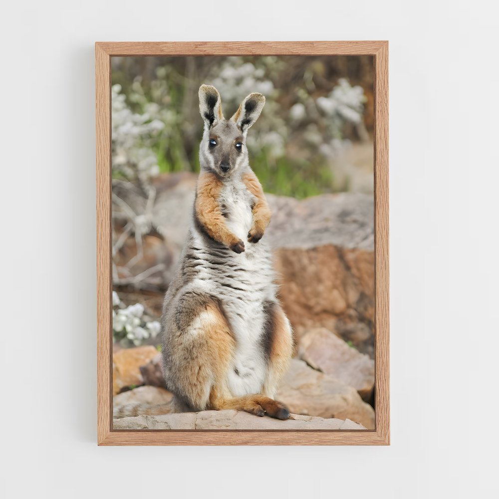 ap-wallaby-8 cadre Bois clair