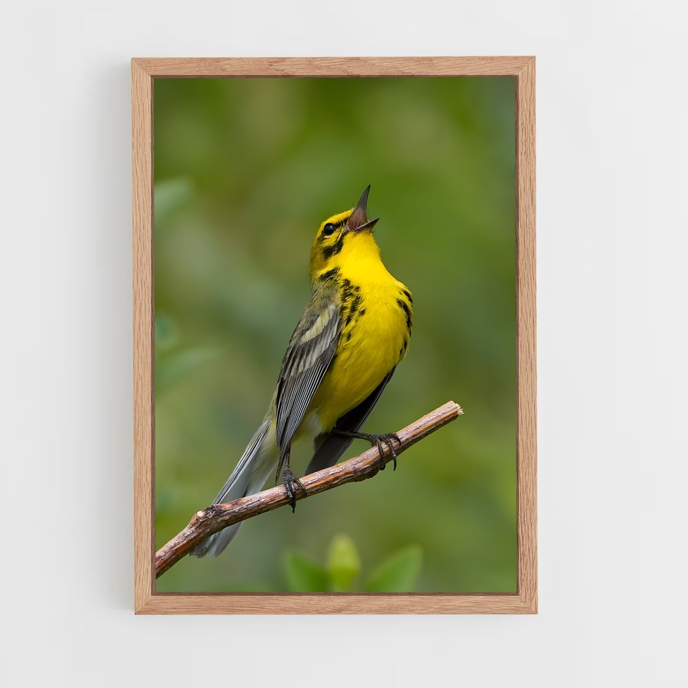 ap-warbler-1 cadre Bois clair