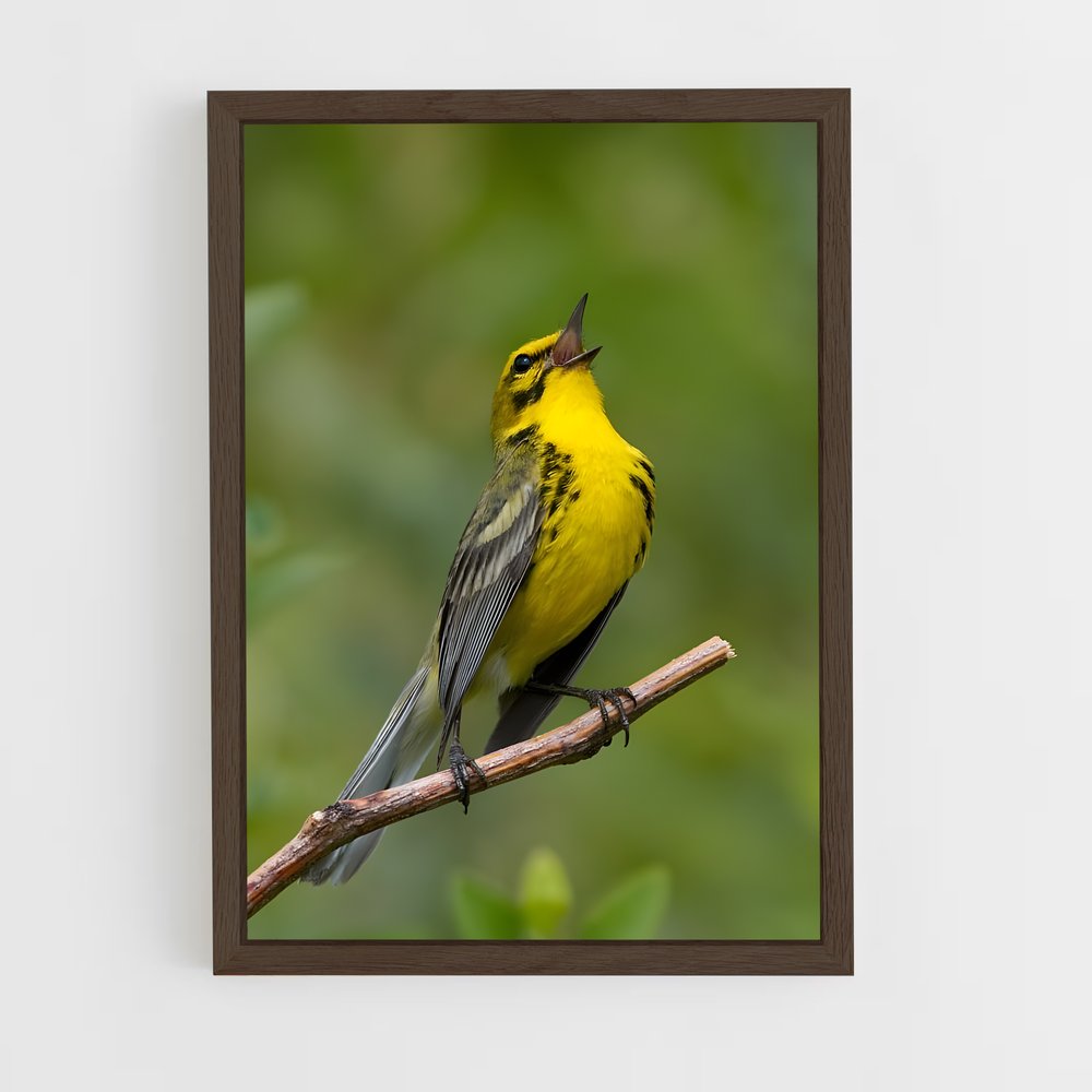ap-warbler-1 cadre Bois foncé