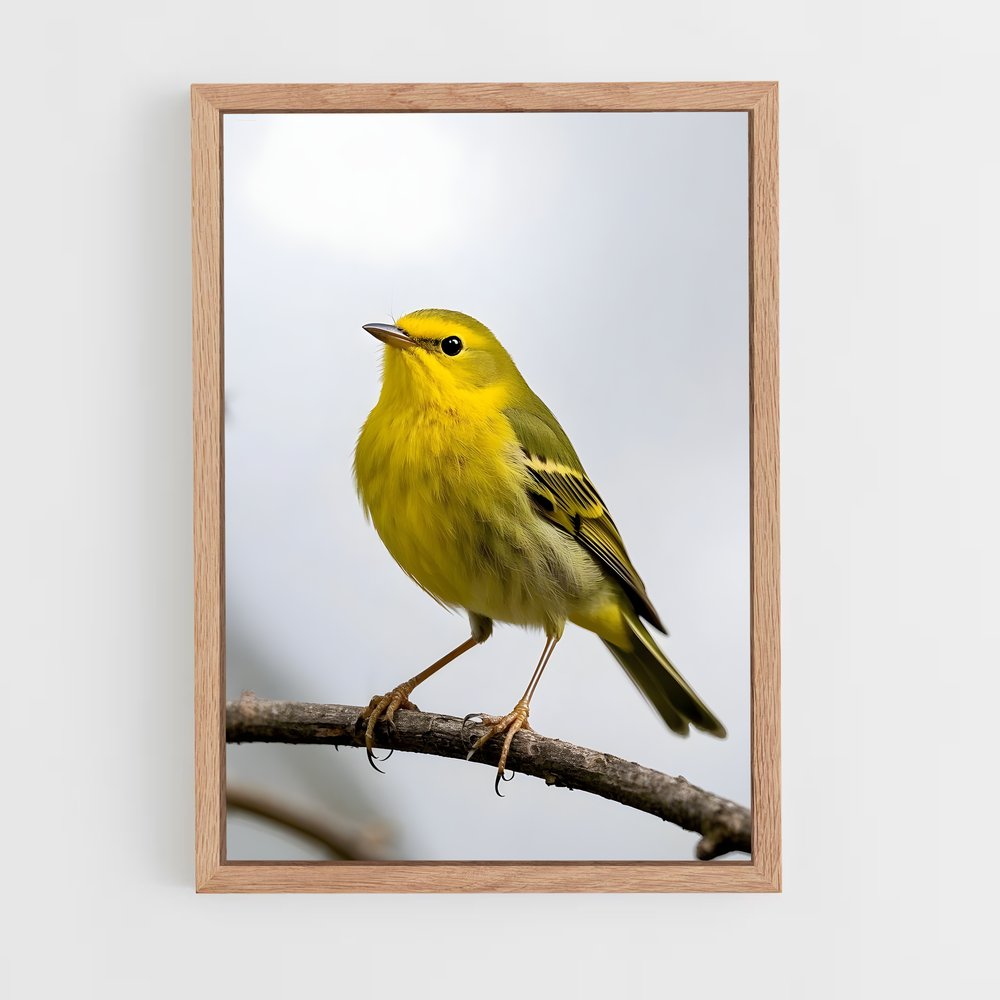 ap-warbler-5 cadre Bois clair