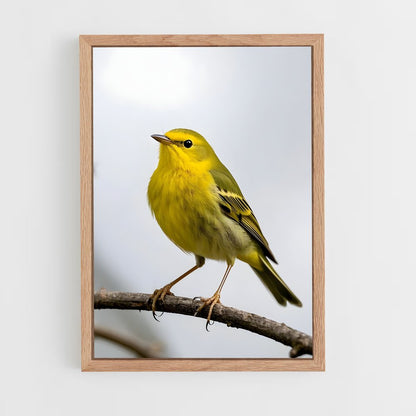ap-warbler-5 cadre Bois clair