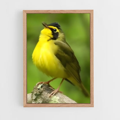 ap-warbler-7 cadre Bois clair