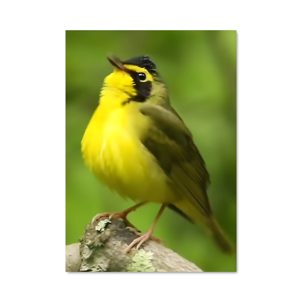 Poster Petit Oiseau Joyeux