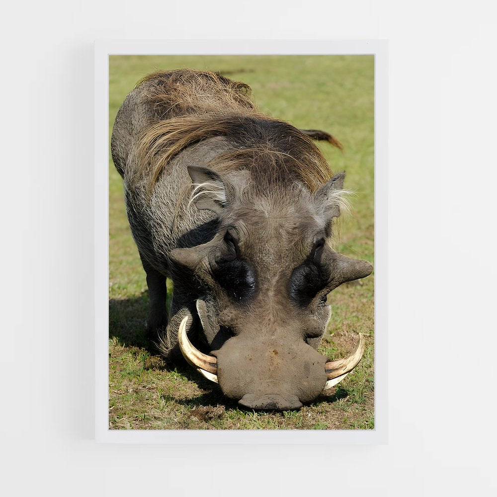 ap-warthog-4 cadre Blanc