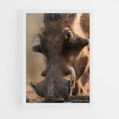 ap-warthog-6 cadre Blanc