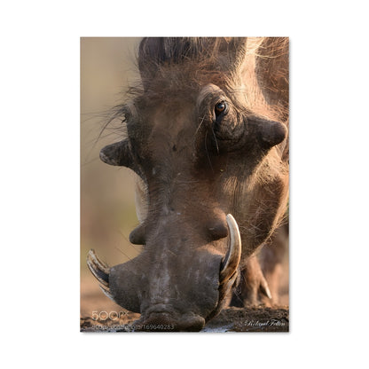 Poster L'Hydratation Sauvage
