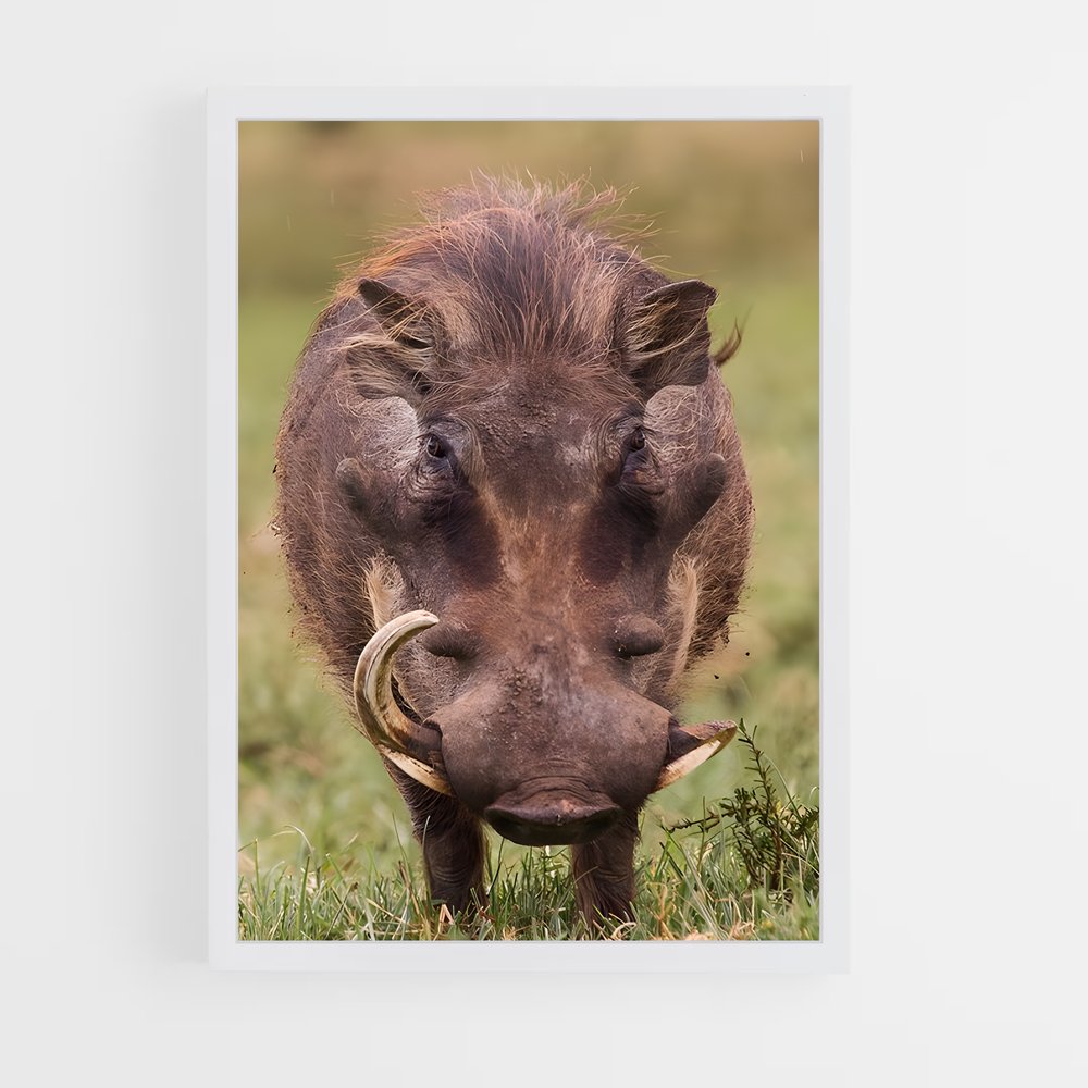ap-warthog-7 cadre Blanc