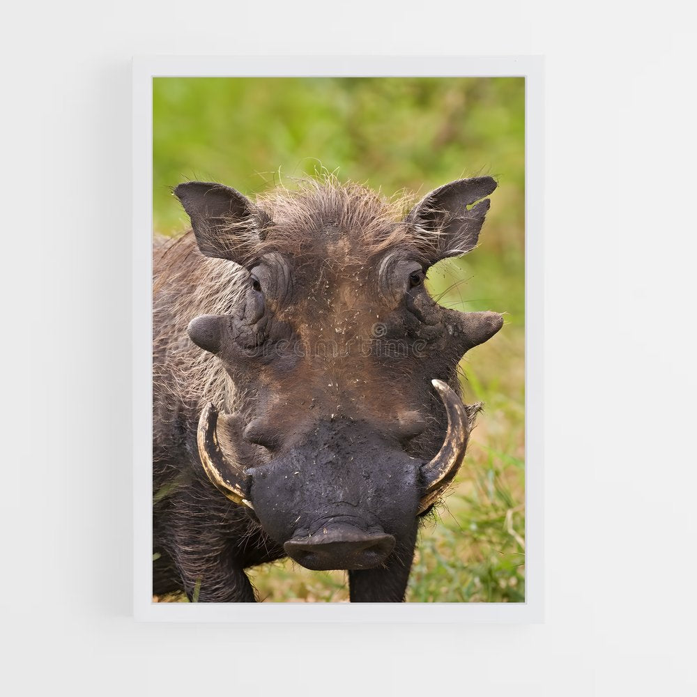 ap-warthog-9 cadre Blanc
