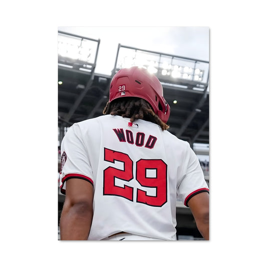 Poster Washington nationals 58711