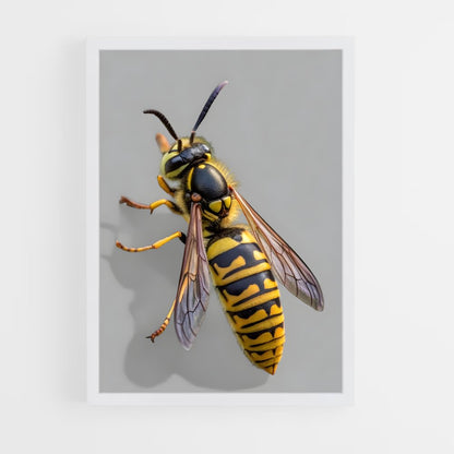 ap-wasp-17 cadre Blanc