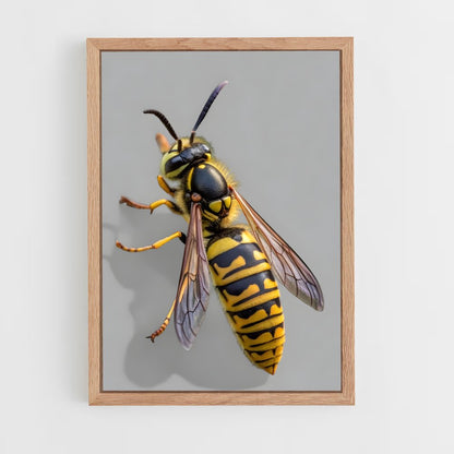 ap-wasp-17 cadre Bois clair