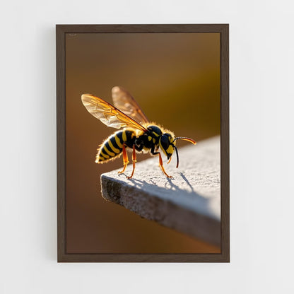 ap-wasp-19 cadre Bois foncé