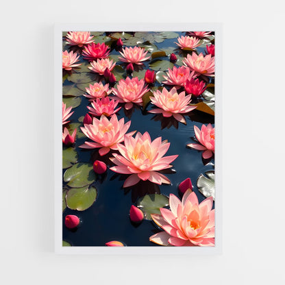 ap-water lily-8 cadre Blanc