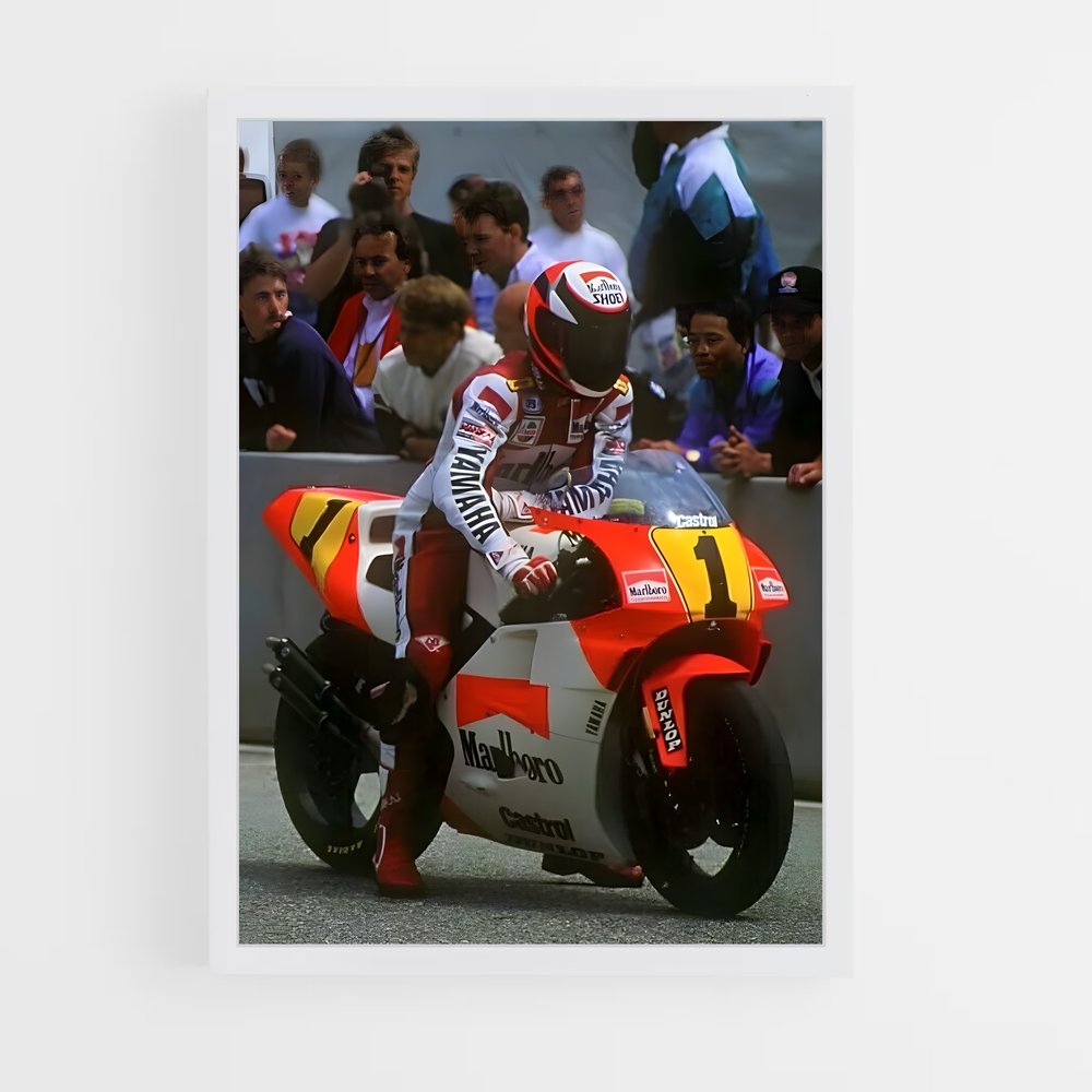 ap-wayne rainey-3 cadre Blanc