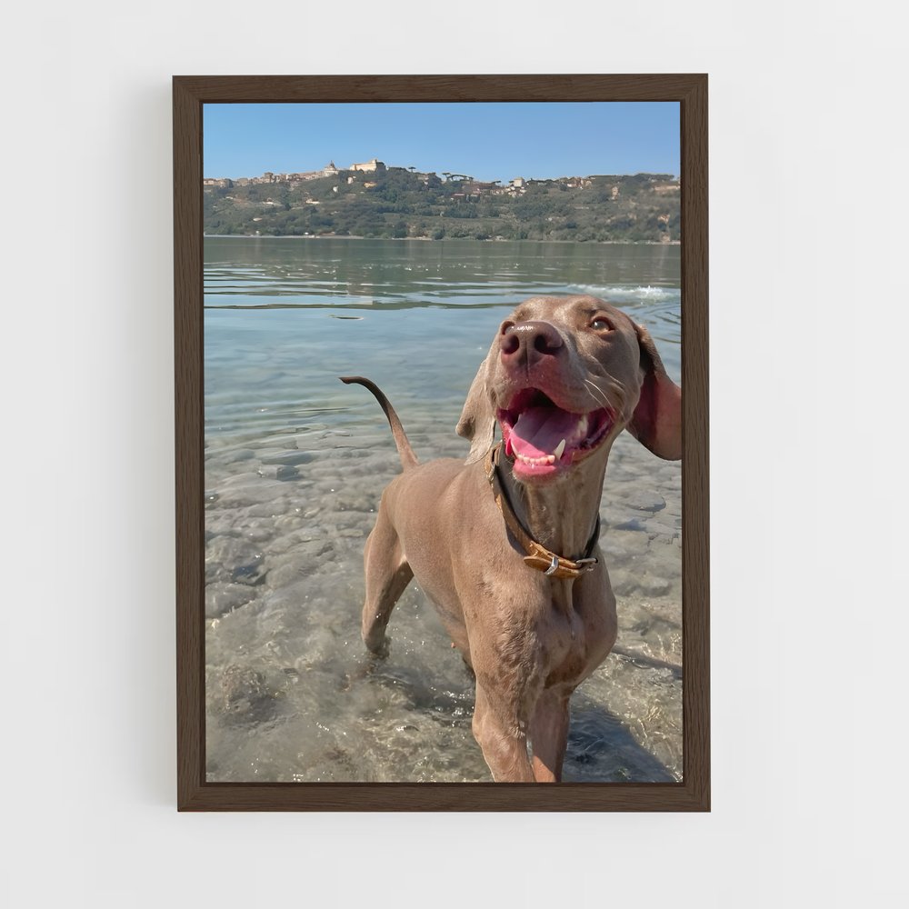 ap-weimaraner-1 cadre Bois foncé