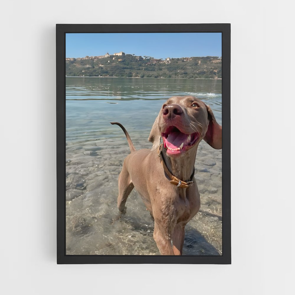 ap-weimaraner-1 cadre Noir
