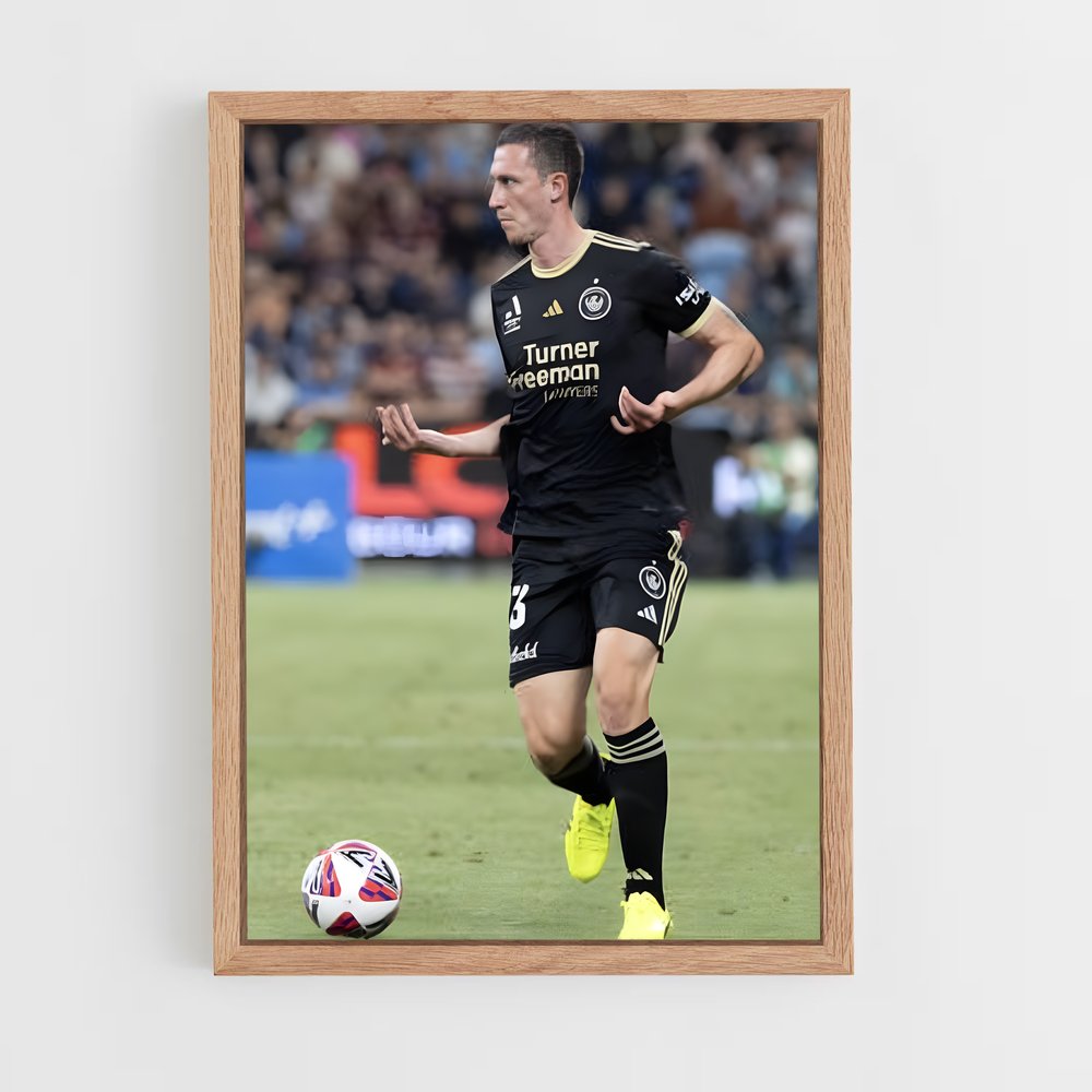 ap-western sydney wanderers fc-2 cadre Bois clair