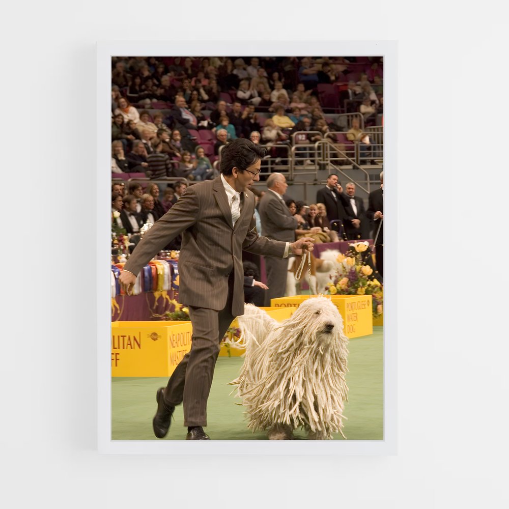 ap-westminster dog show-2 cadre Blanc