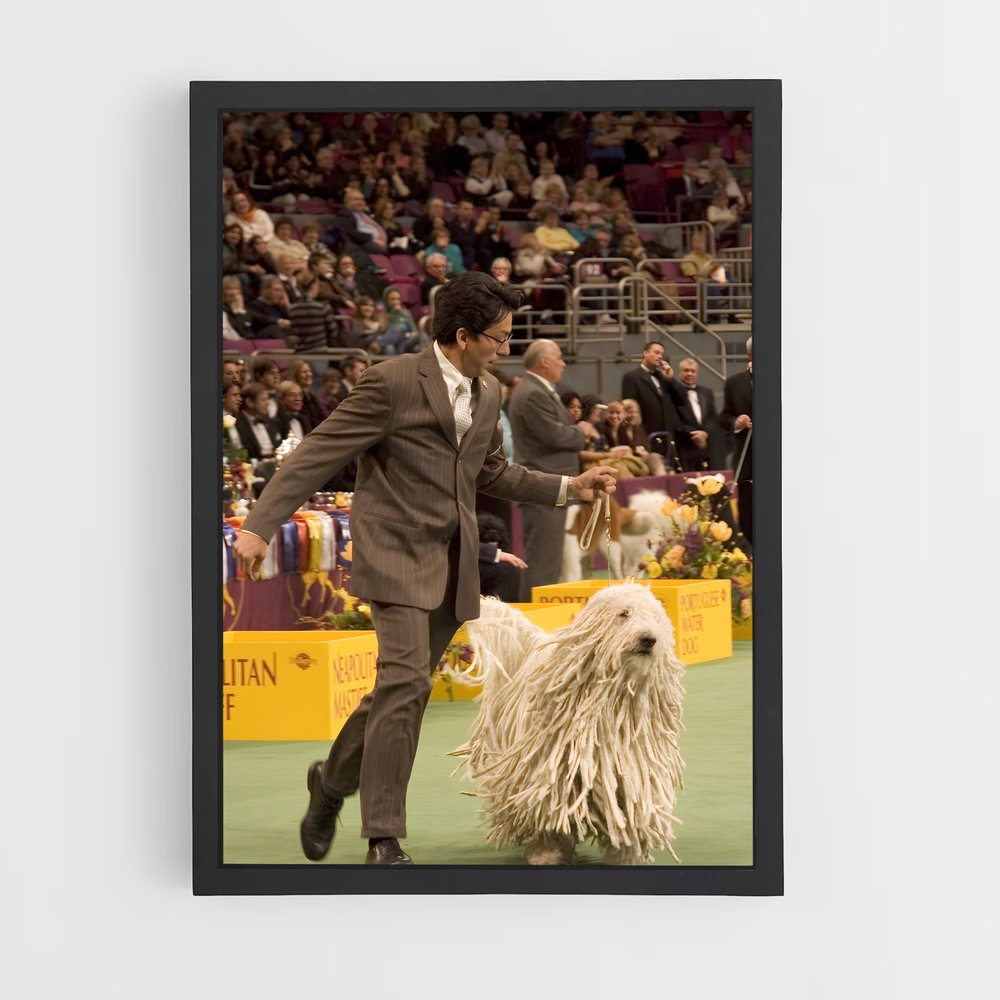 ap-westminster dog show-2 cadre Noir